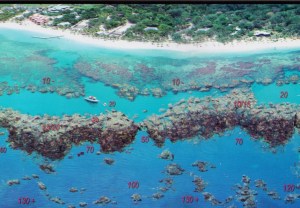 le-mur-de-roatan-bay-islands