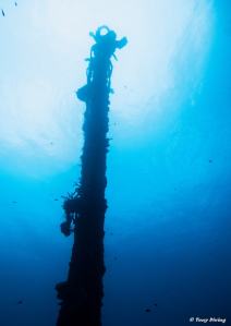 photo-plongee-roatan-epave-el-aguila-wreck
