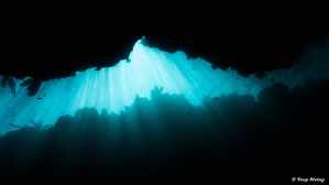 plongee-roatan-spooky-channel