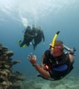 faire-son-divemaster-guide-de-palanquee