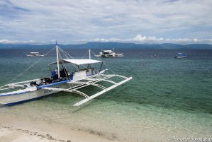 vue-plage-sardines-moalboal-philippines