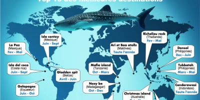 carte-top-15-meilleures-destinations-voir-et-plonger-avec-les-requins-baleines