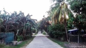 Dauin street3