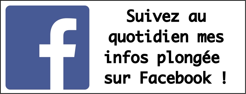 logo like ma FB sur article