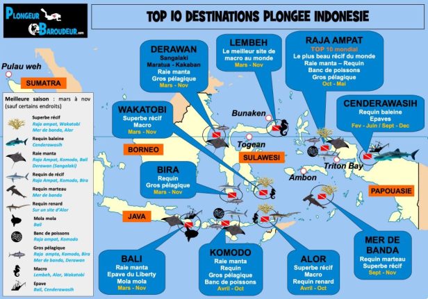 carte top 10 meilleurs sites de plongee indonesie