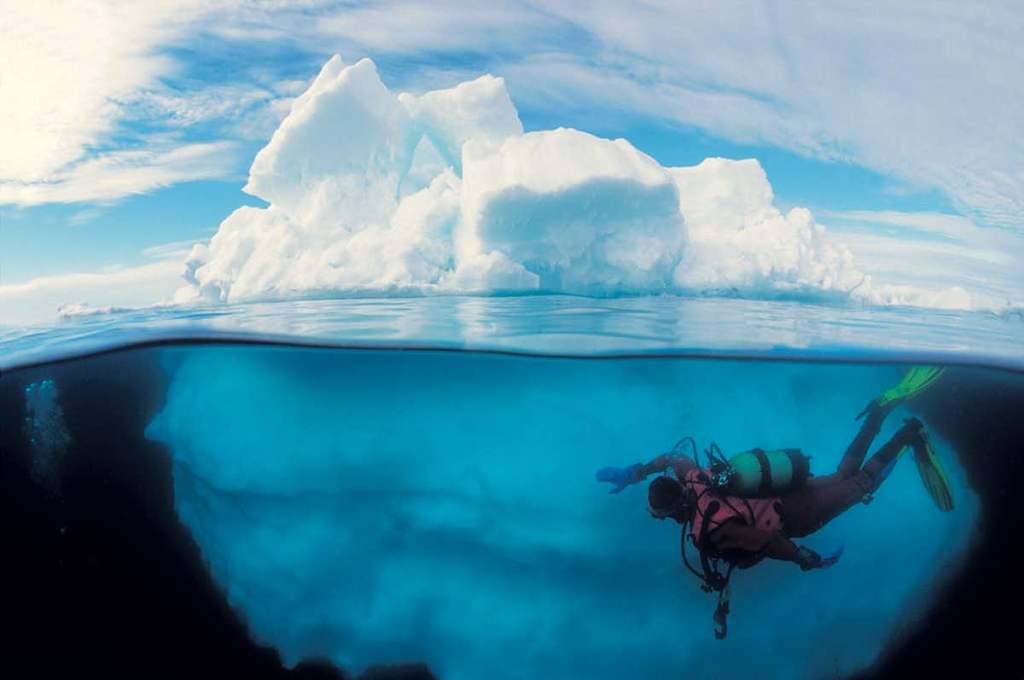 croisiere-plongee-liveaboard-antarctique
