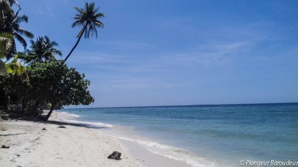 plage aloma beach panglao bohol philippines