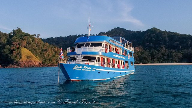 croisiere-plongee-birmanie-smilling-seahorse-bateau-3
