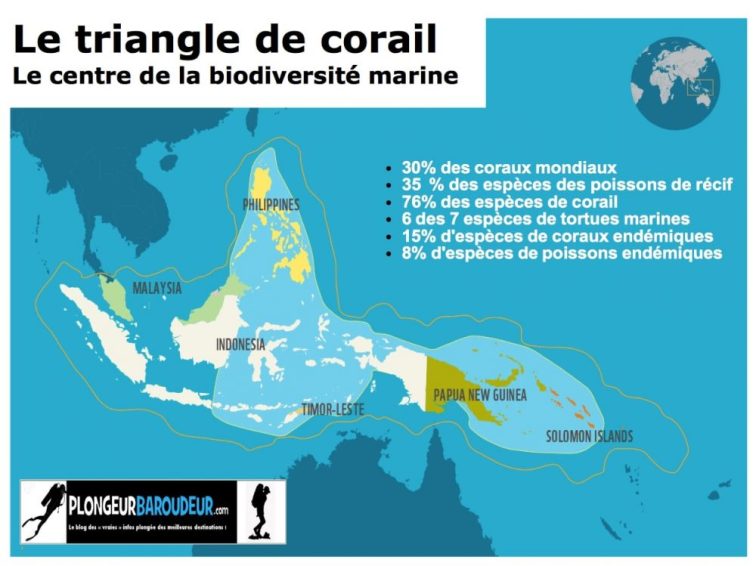 le triangle de corail plongeur baroudeur-min