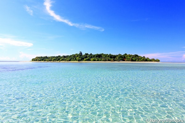 meilleure plongee indonesie derawan sangalaki borneo