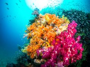 top-10-destinations-plongee-raja-ampat