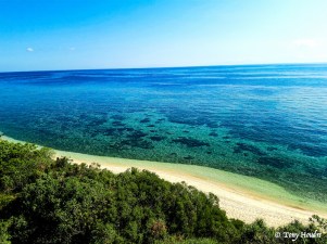 meilleure site plongee philippines apo reef - apo island