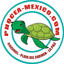 centre-de-plongee-cozumel-phocea