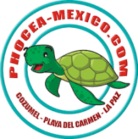 phocea-logo