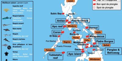 carte-meilleurs-sites-plongee-philippines