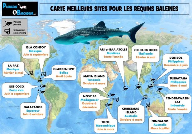 carte-meilleurs-sites-voir-et-plonger-requin-baleine