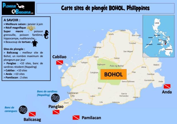 carte sites de plongee bohol philippines