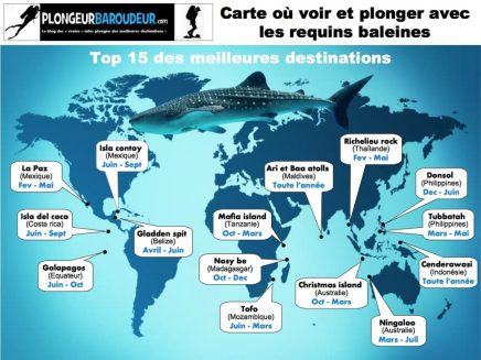 carte meilleures destinations ou voir requins baleines