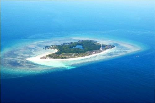 plongee apo island philippines