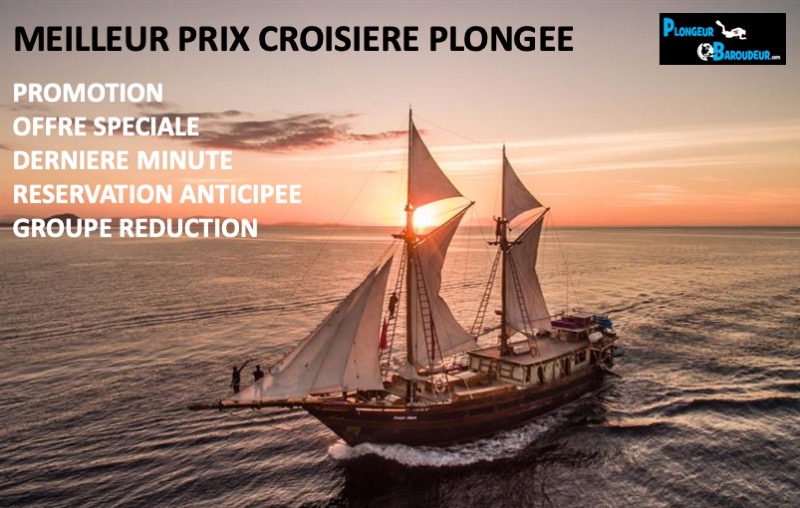 meilleur-prix-croisiere-plongee