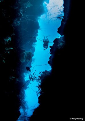 plongee-roatan-marys-place