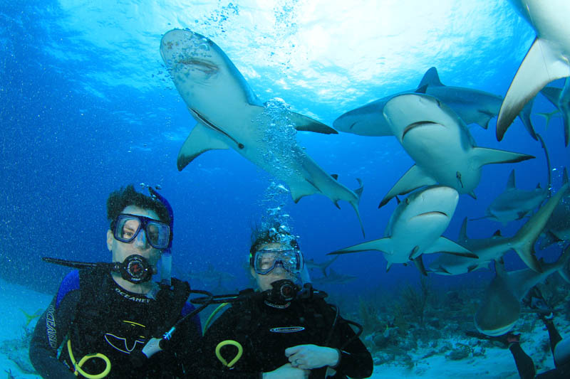 croisiere-plongee-liveaboard-bahamas