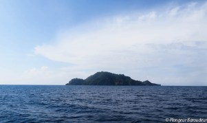 ile apo island philippines